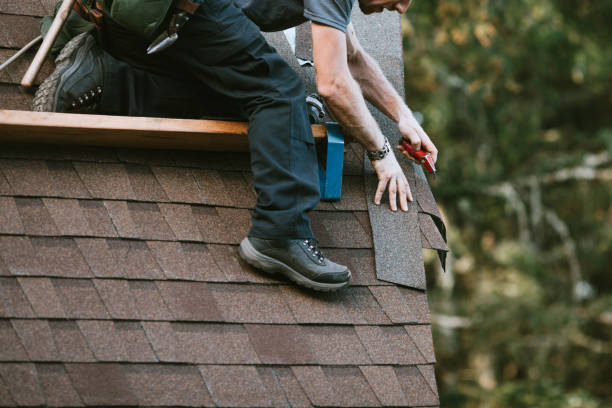Best Commercial Roof Installation  in Chebanse, IL